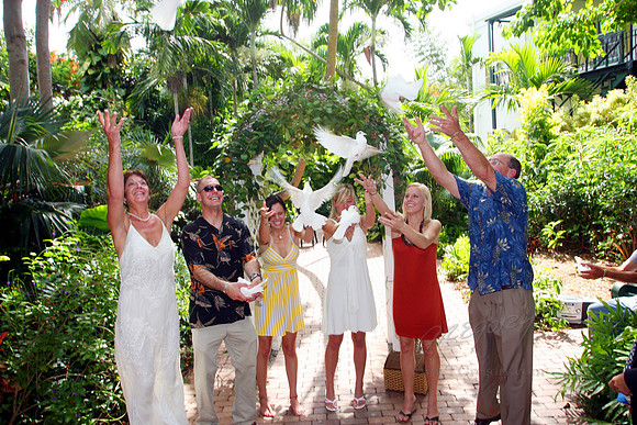 Key West dove release